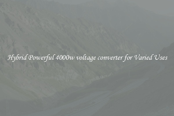 Hybrid Powerful 4000w voltage converter for Varied Uses