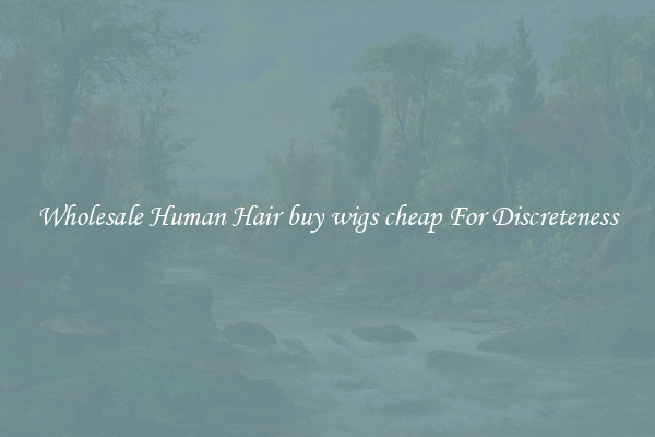 Wholesale Human Hair buy wigs cheap For Discreteness