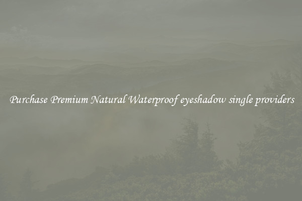 Purchase Premium Natural Waterproof eyeshadow single providers