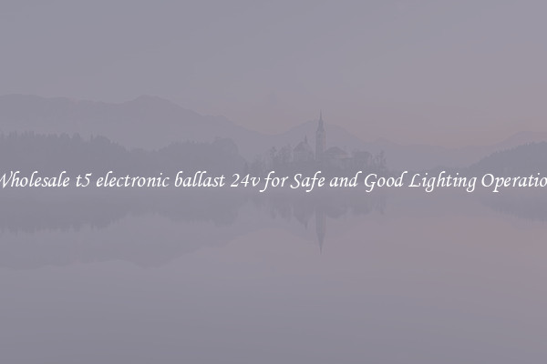 Wholesale t5 electronic ballast 24v for Safe and Good Lighting Operation