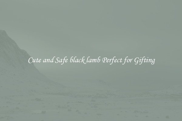 Cute and Safe black lamb Perfect for Gifting
