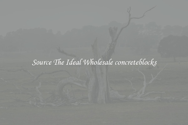 Source The Ideal Wholesale concreteblocks