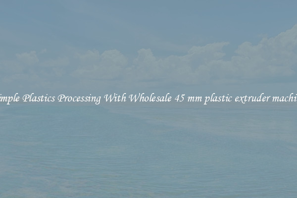 Simple Plastics Processing With Wholesale 45 mm plastic extruder machine