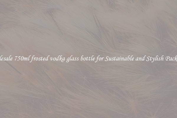 Wholesale 750ml frosted vodka glass bottle for Sustainable and Stylish Packaging