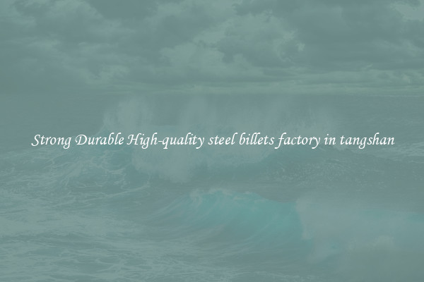Strong Durable High-quality steel billets factory in tangshan