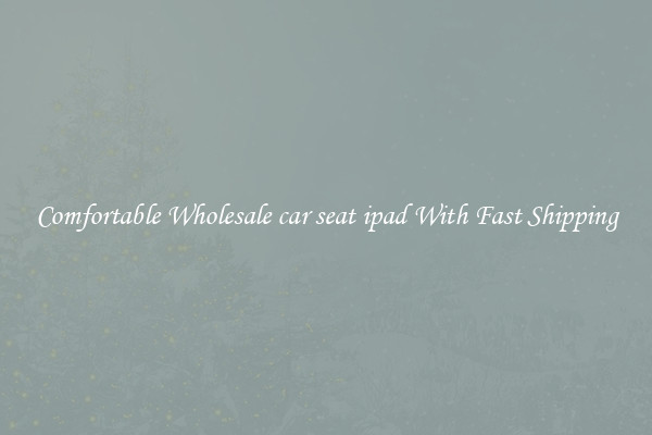 Comfortable Wholesale car seat ipad With Fast Shipping