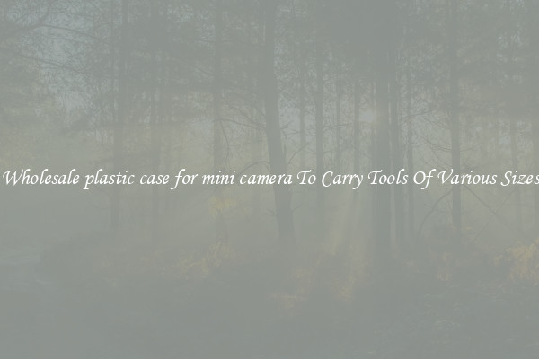 Wholesale plastic case for mini camera To Carry Tools Of Various Sizes