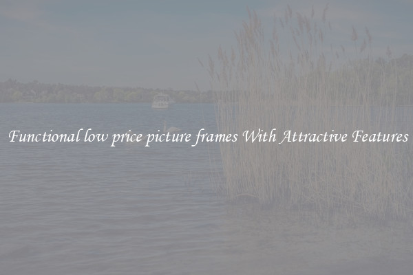 Functional low price picture frames With Attractive Features