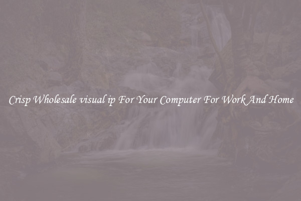 Crisp Wholesale visual ip For Your Computer For Work And Home