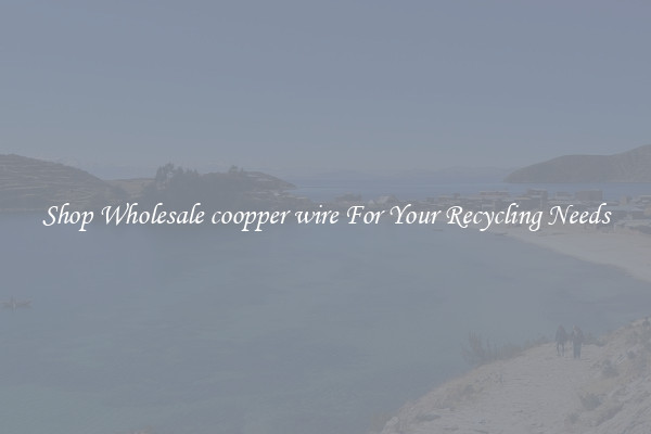 Shop Wholesale coopper wire For Your Recycling Needs
